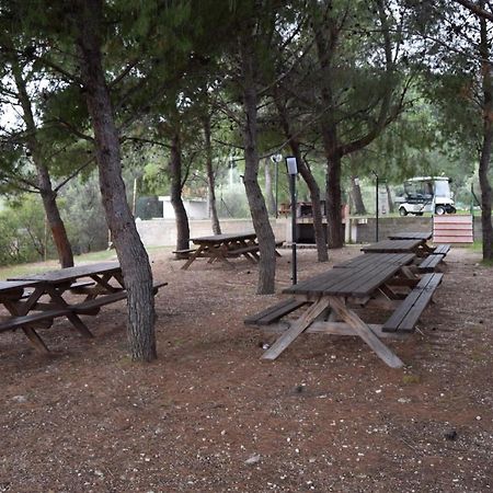 Camping Fontana Delle Rose Mattinata Dış mekan fotoğraf