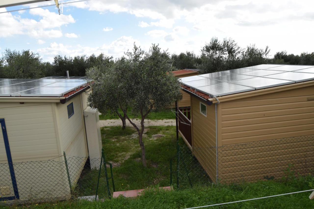 Camping Fontana Delle Rose Mattinata Dış mekan fotoğraf